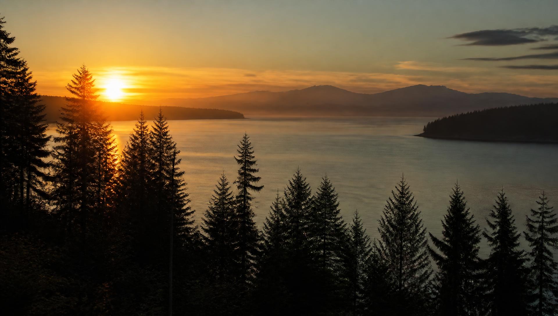 Sunrise over the water framed by evergreen trees on Camano Island